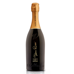 Nani Rizzi Extra Dry Prosecco 0,75L